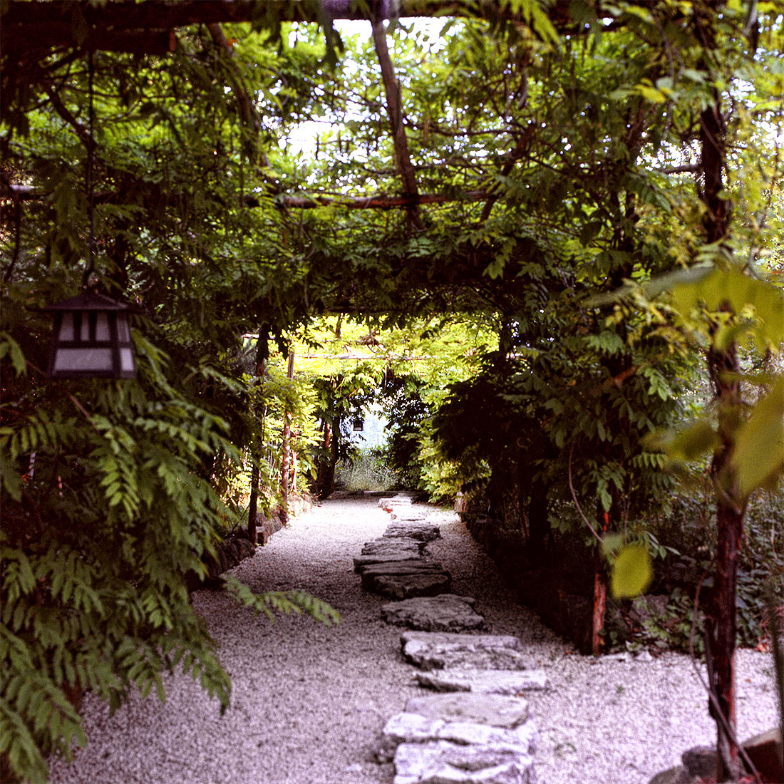 Zen path by Jacopo Caggiano