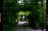 Zen Path