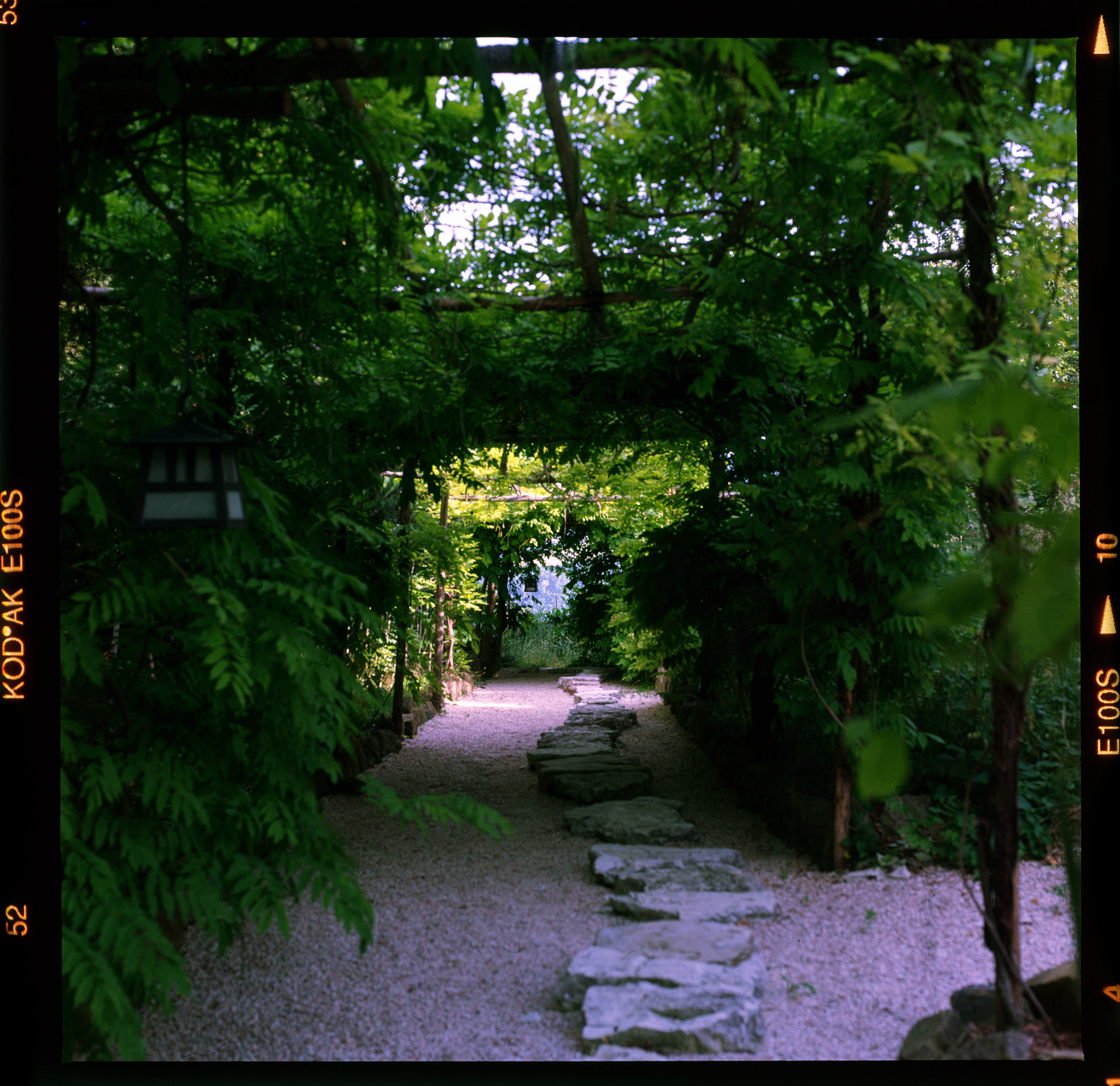 Zen Path