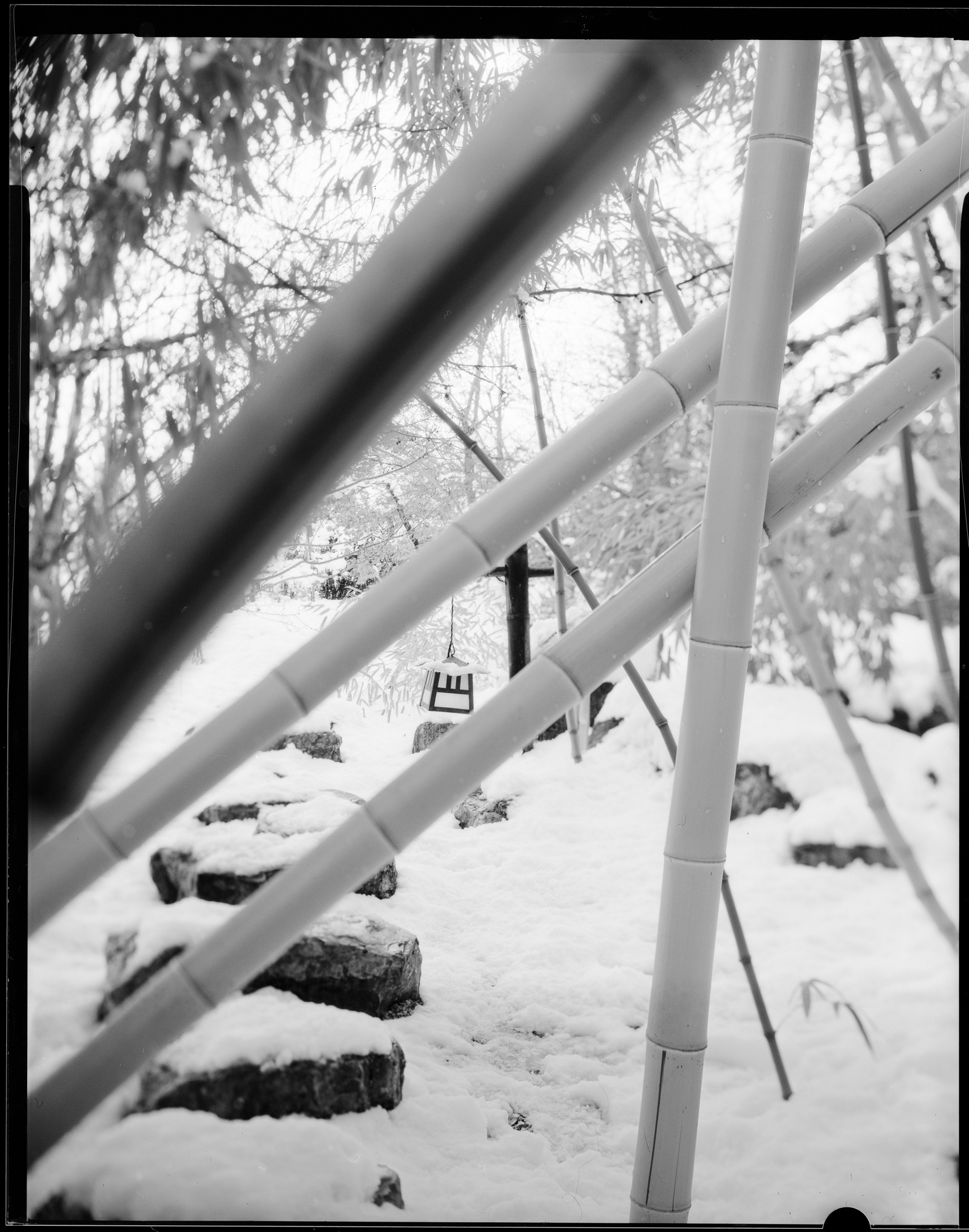 Intervieweing Bamboo