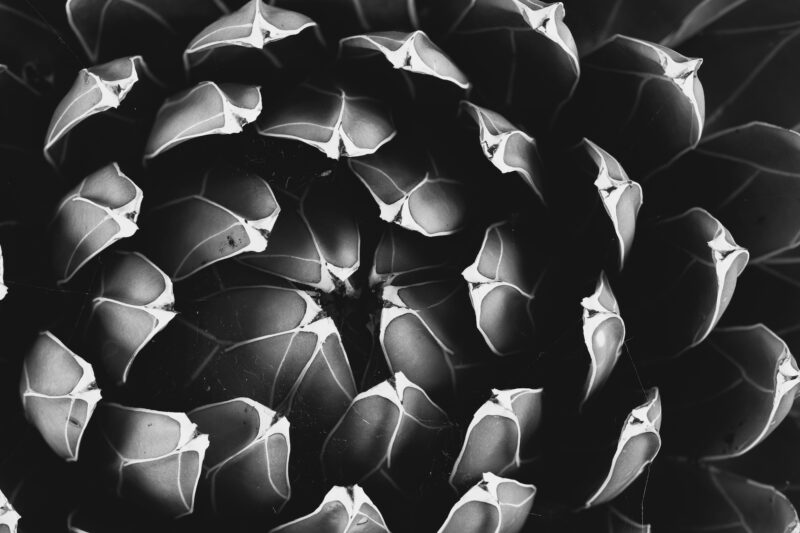 Natural Geometry